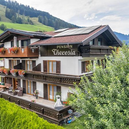 Pension Theresia Дорфгаштайн Экстерьер фото